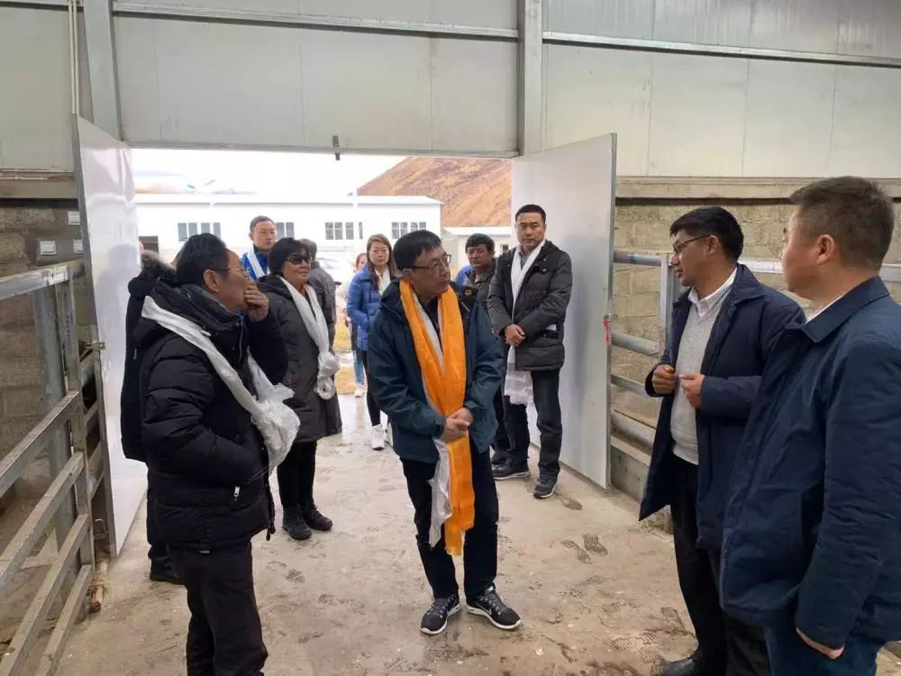 图片3.png 图片3.png